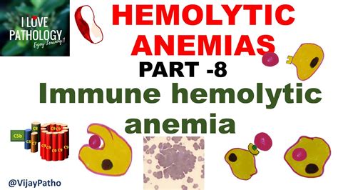 Overview of Hemolytic Anemia .